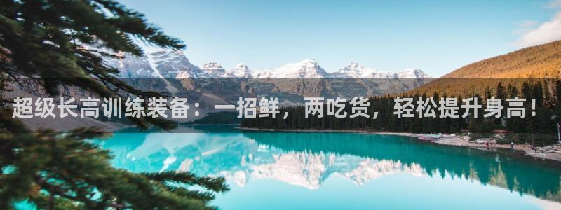 fb体育集团logo