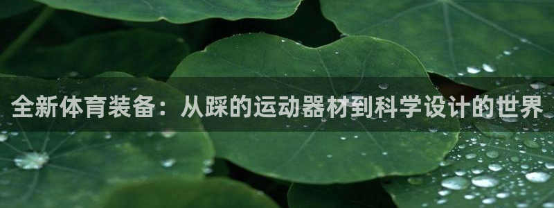 fb体育集团logo