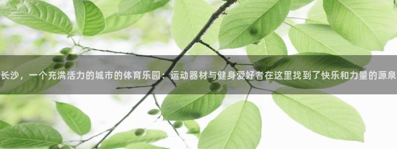 海南fb体育发展怎么样：长沙，一个充满活力的城市的体育乐园：