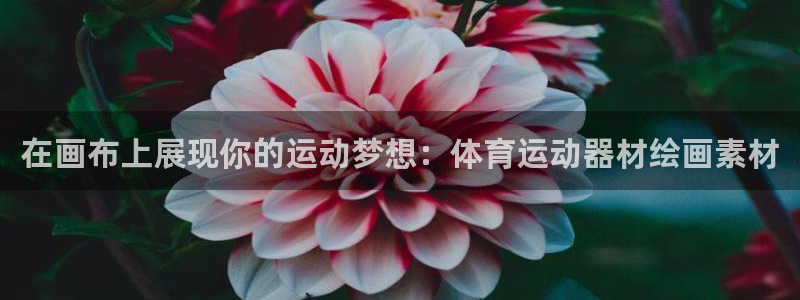 fb体育招商电话：在画布上展现你的运动梦想：体育运动器材绘画