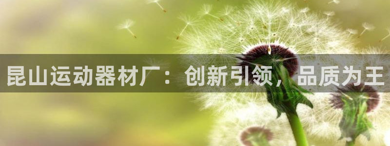 fb体育平台注册要钱吗：昆山运动器材厂：创新引领，品质为王