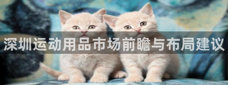 fb体育平台：深圳运动用品市场前瞻与布局建议