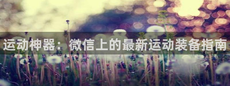 fb体育官网