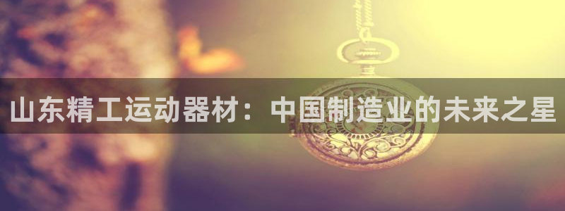 fb体育平台注册要钱吗安全吗：山东精工运动器材：中国