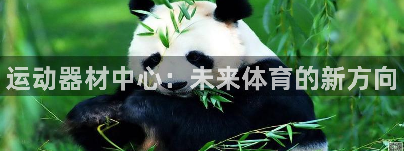 fb体育集团logo：运动器材中心：未来体育的新方向