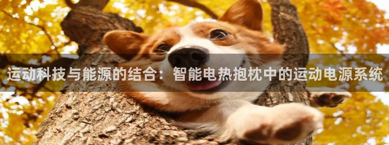 fb体育平台APP