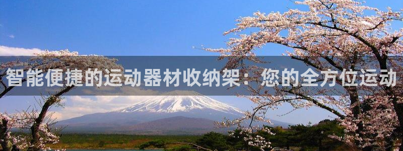 fb体育平台注册：智能便捷的运动器材收纳架：您的全方