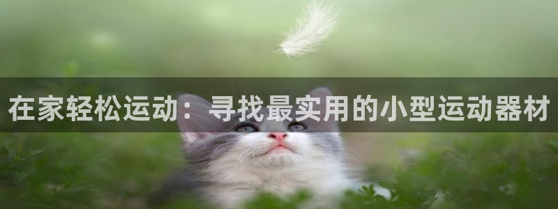 fb体育招商电话号码是多少号：在家轻松运动：寻找最实用的小型