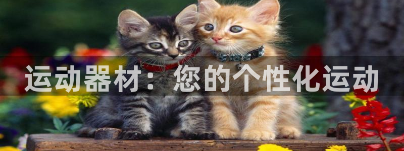 fb体育娱乐是那个系列的台子：运动器材：您的个性化运