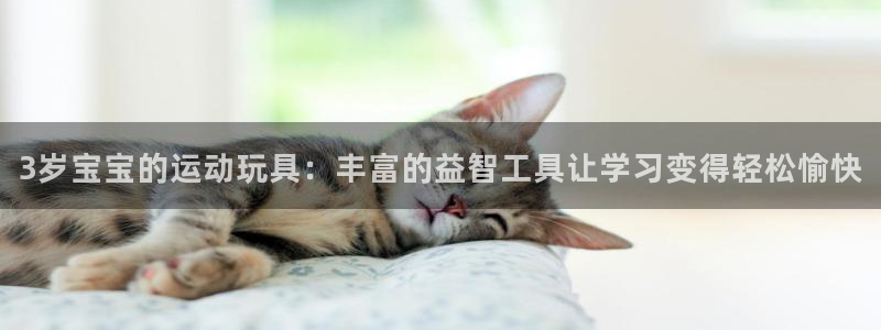 fb体育集团