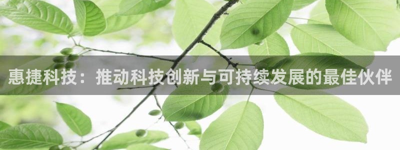 fb体育招商电话