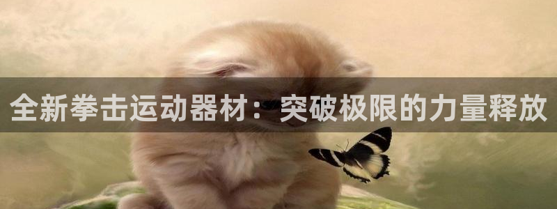 fb体育平台：全新拳击运动器材：突破极限的力量释放