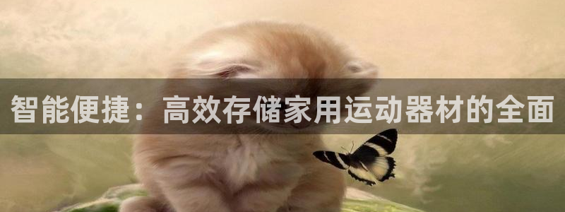 fb体育是干嘛的公司