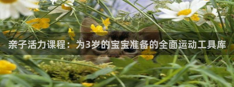 fb体育娱乐