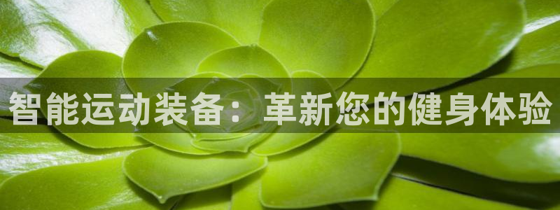 fb体育官网:智能运动装备:革新您的健身体验